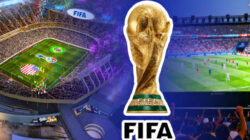 Cập nhật thông tin World Cup diễn ra bao nhiêu ngày